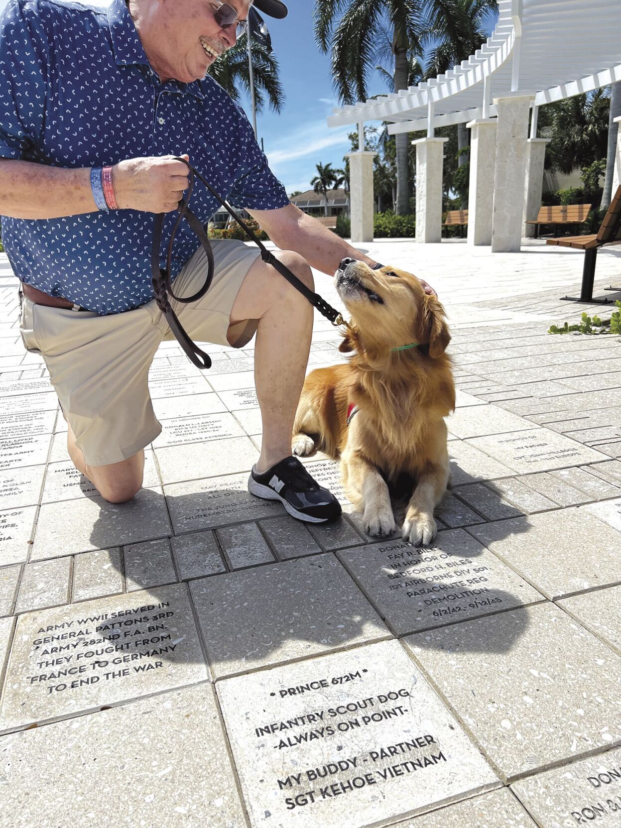 r..;.. .- ,; ... ... •, image size:1247x1663