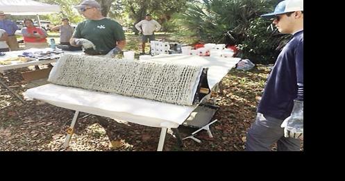 Oyster Prisms a Plastic-Free Alternative to Oyster Restoration - Vimarsana News