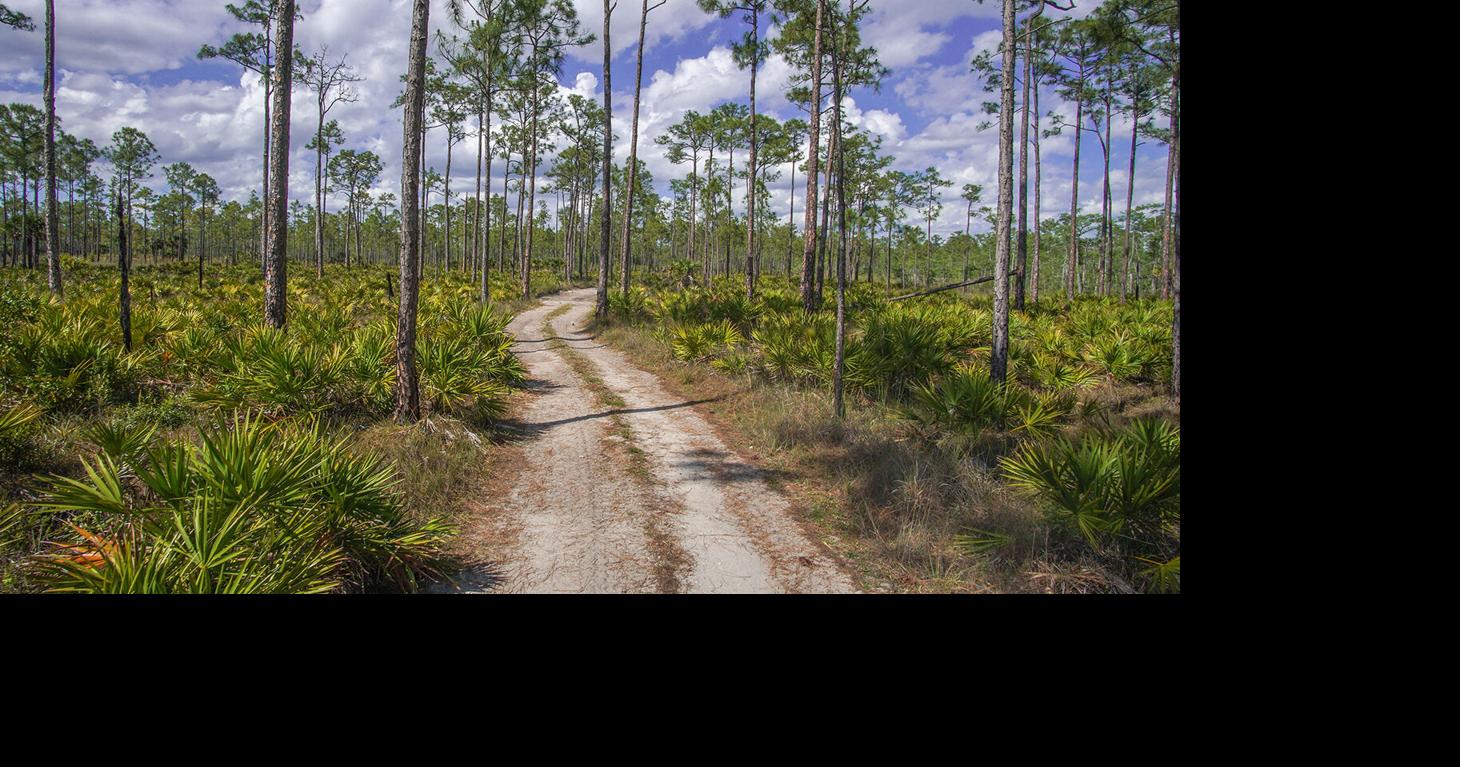 Earth Day Cleanup at Big Cypress