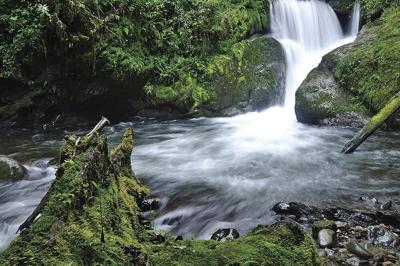 Beyond our Comfort Zone in Costa Rica