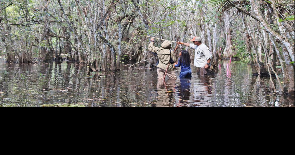 Big Cypress Celebrates 52 Years of Conservation