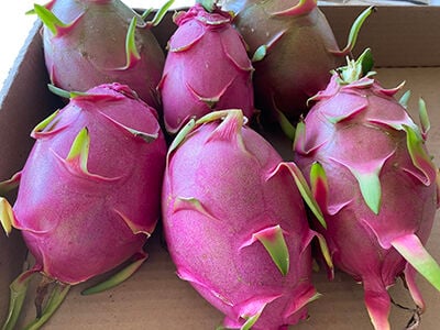 Dragon Fruit Pink