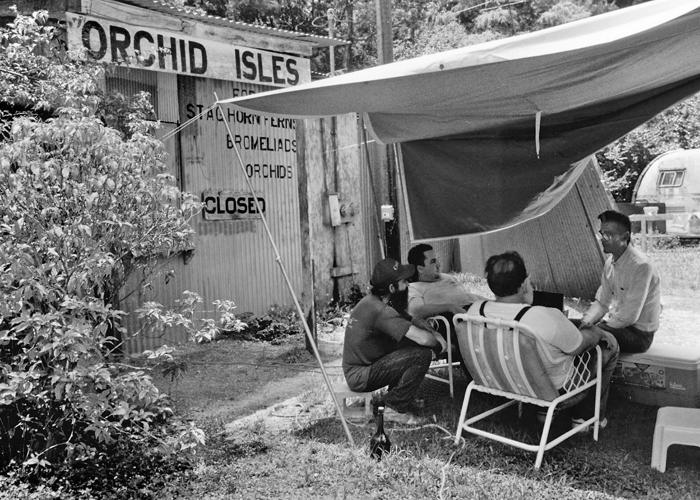 The Dream of a Gallery 3