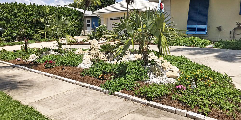 Florida Native Plants Make Beautiful and Practical $ense | News ...