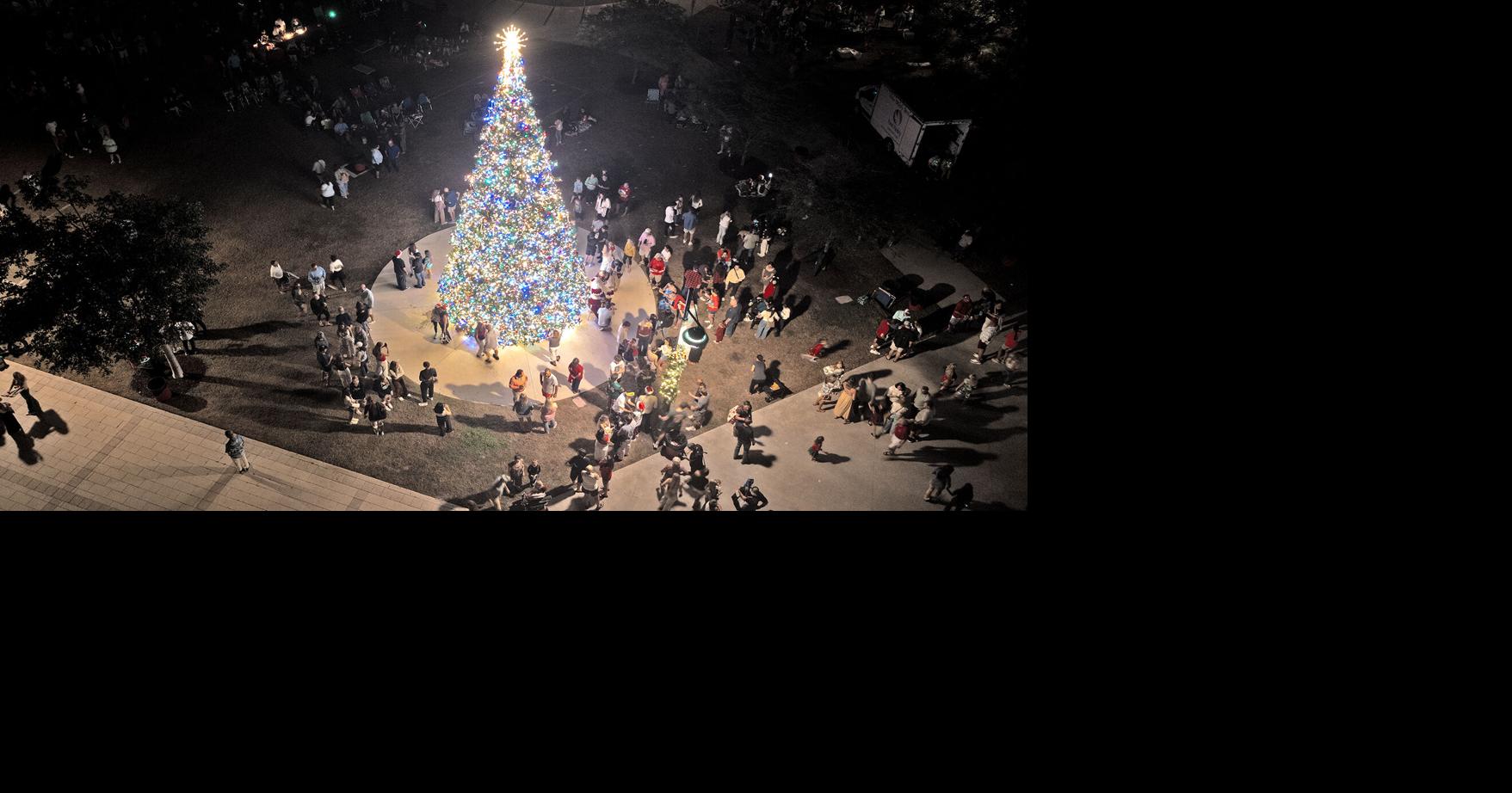 Community Sparkles at Tree Lighting Celebration