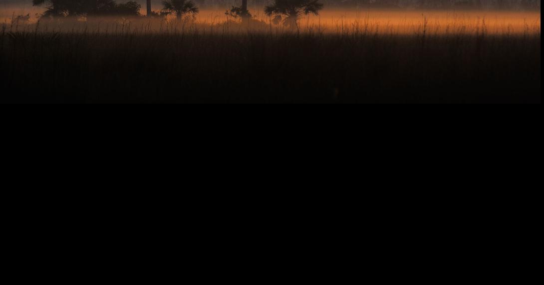 Newest Wildlife Corridor Expedition: Original Trailblazers | Environment
