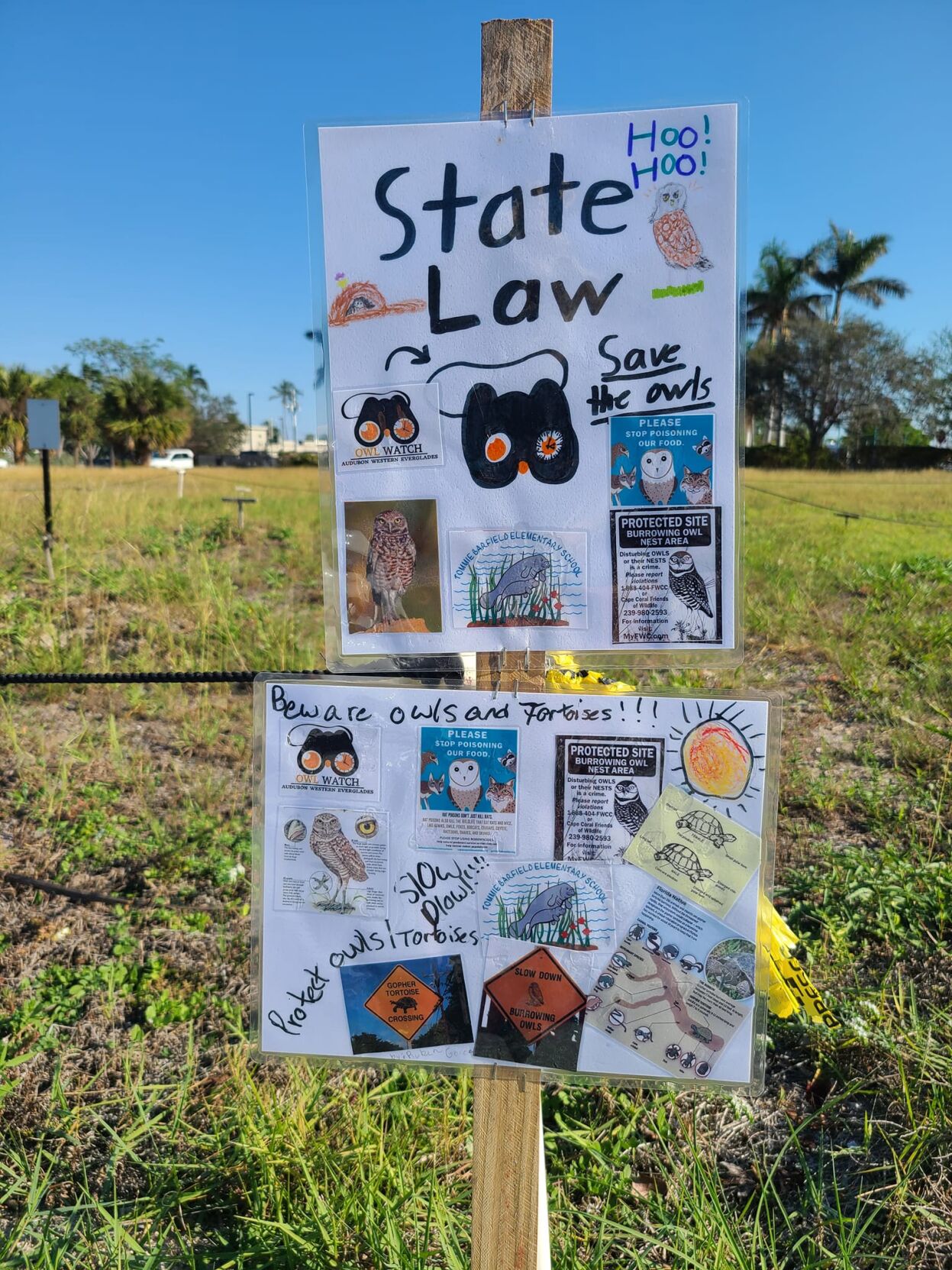 Burrow Buddies Club Saving Owls and Tortoises | Clubs & Organizations ...
