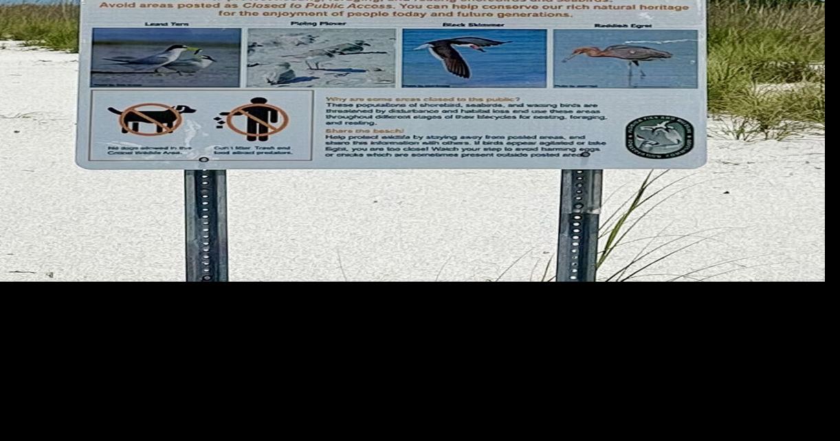 Watch Out for Wildlife on Big Marco Pass