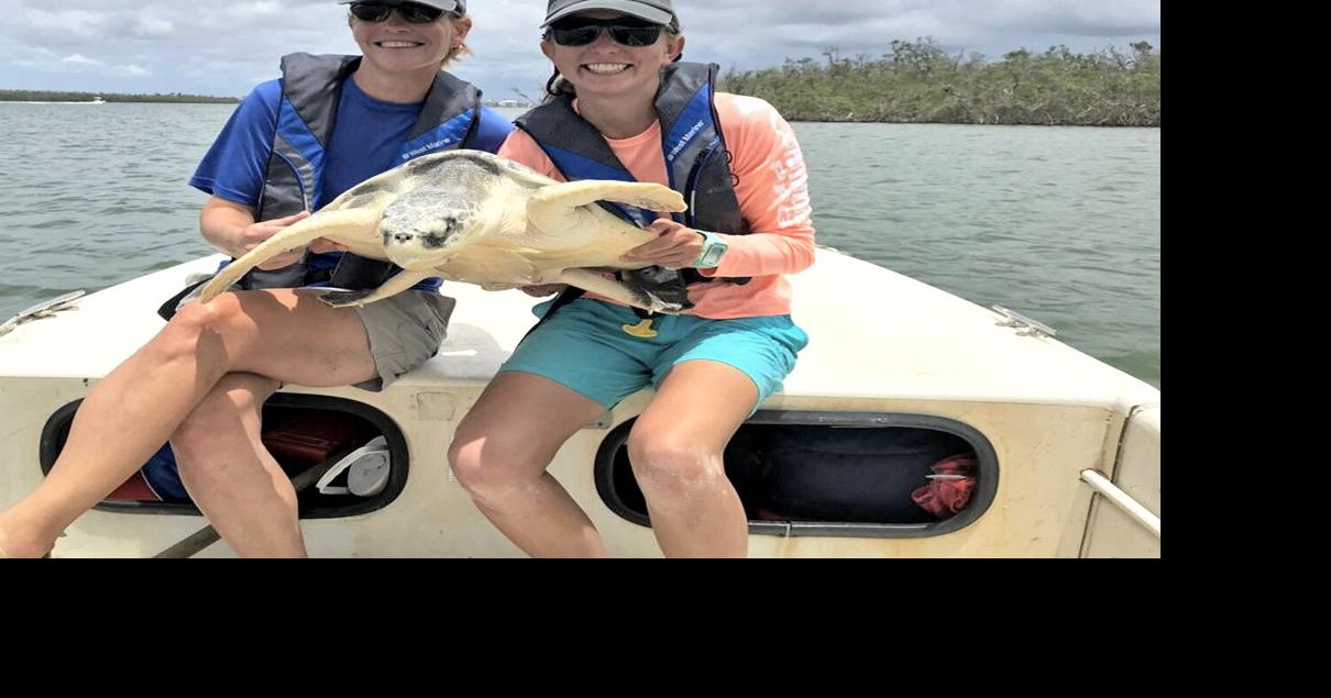 Shell Yeah! | Clubs & Organizations | coastalbreezenews.com