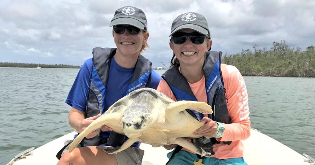 Shell Yeah! | Clubs & Organizations | coastalbreezenews.com