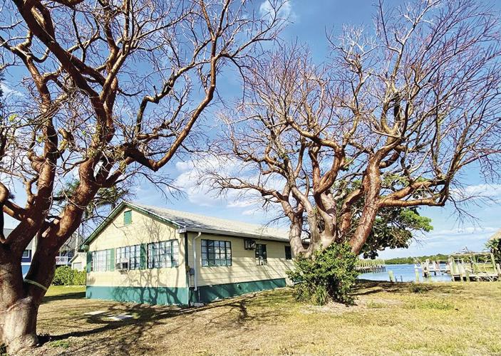 Saving History Clubs & Organizations