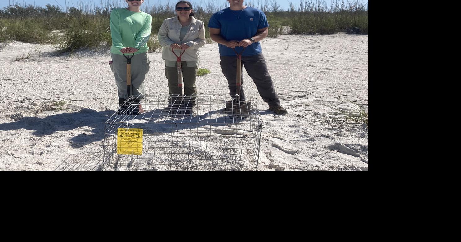 Conservancy Launches Live Sea Turtle Tracking Dashboard | Clubs ...