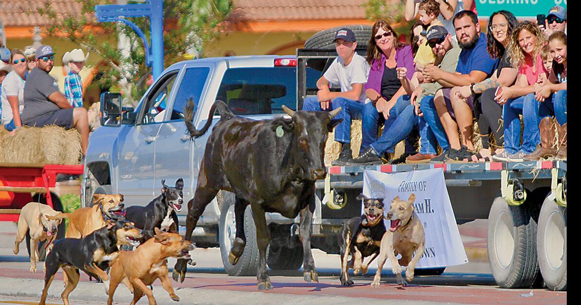 Immokalee Cattle Drive and Jamboree Draws Thousands News