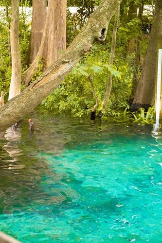 A Slice of Pure Florida, Ginnie Springs Outdoors