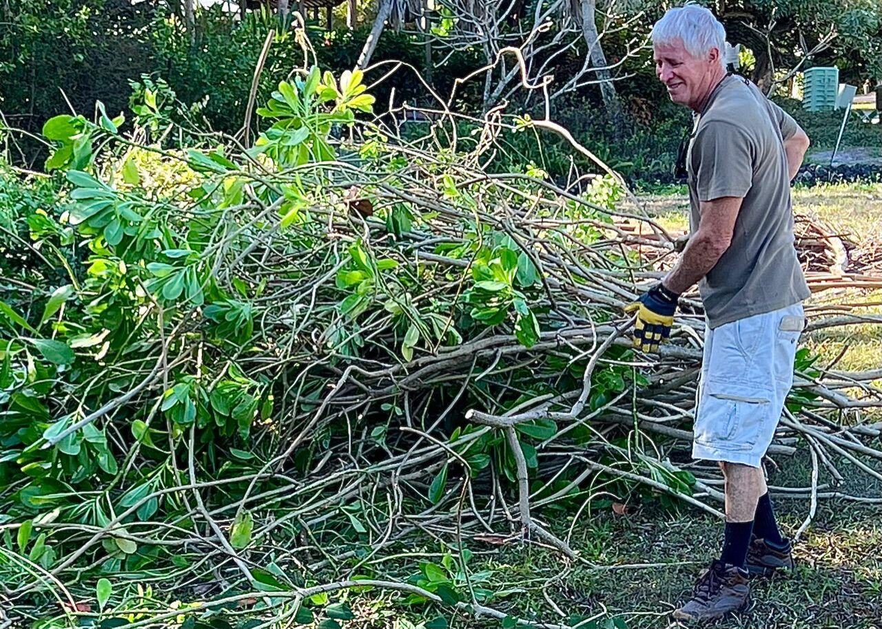 volunteer-cleanup volunteer-cleanup