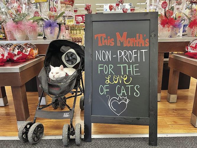 Winn Dixie Selects For the Love of Cats for Community Bag Program
