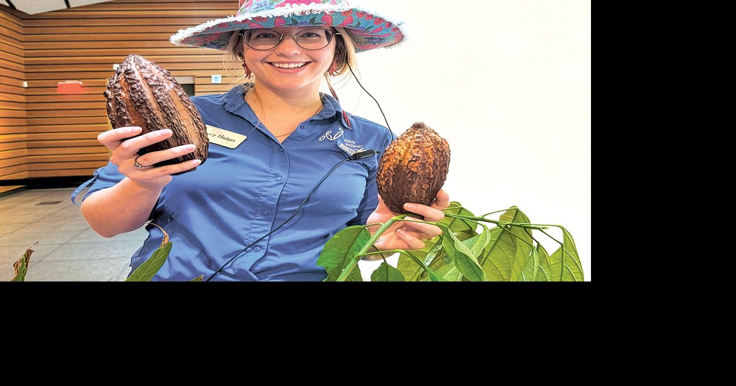 Tasty, Exotic Fruits at the Garden