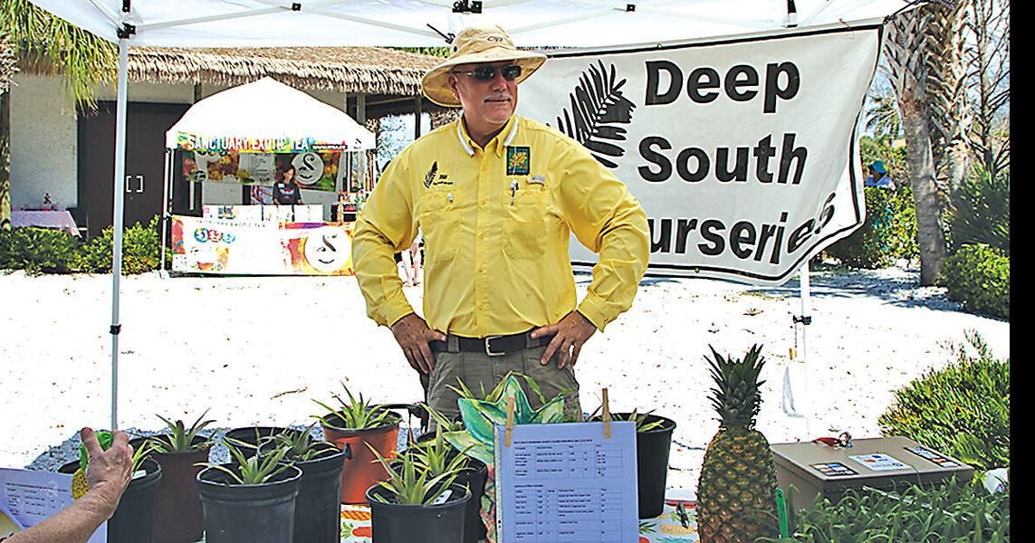 Marco Island Historical Museum Celebrates the Pineapple News