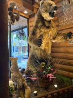 The Florida Repertory 2. Before the show, grab a quick bite at The Lodge with its themed decor..jpg