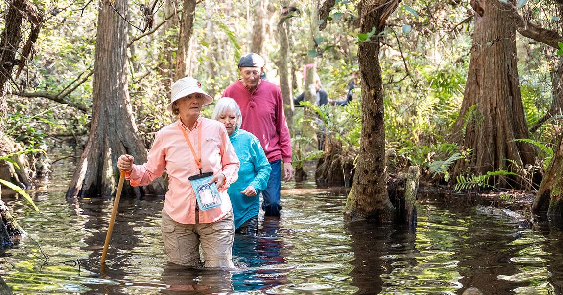 S.W.A.M.P. Wander Event Raises More Than 40K