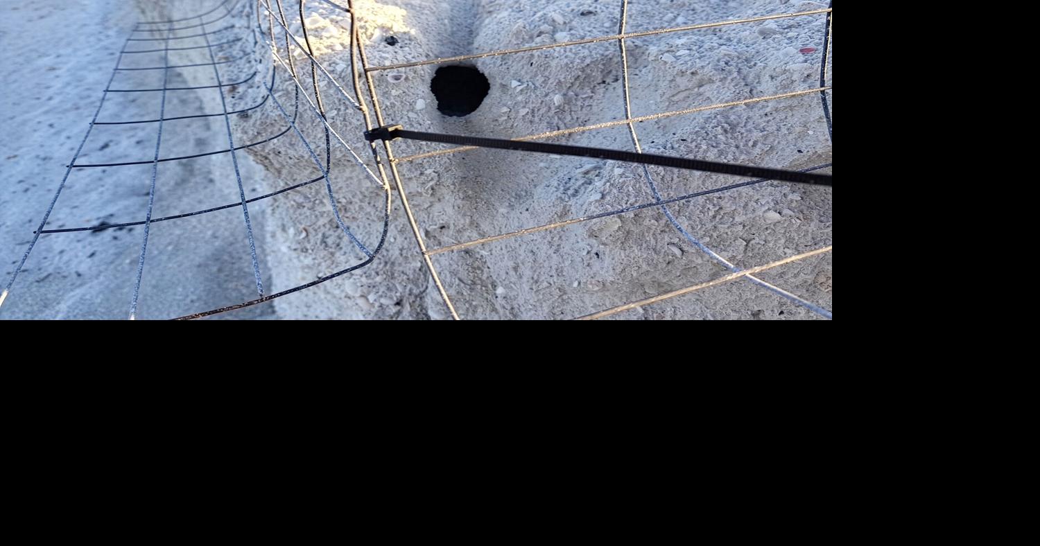 Cliff Hanging Nest Hatched on Sand Dollar
