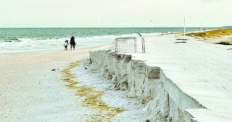 Mid-Season Nesting Update at the Sand Dollar Berm