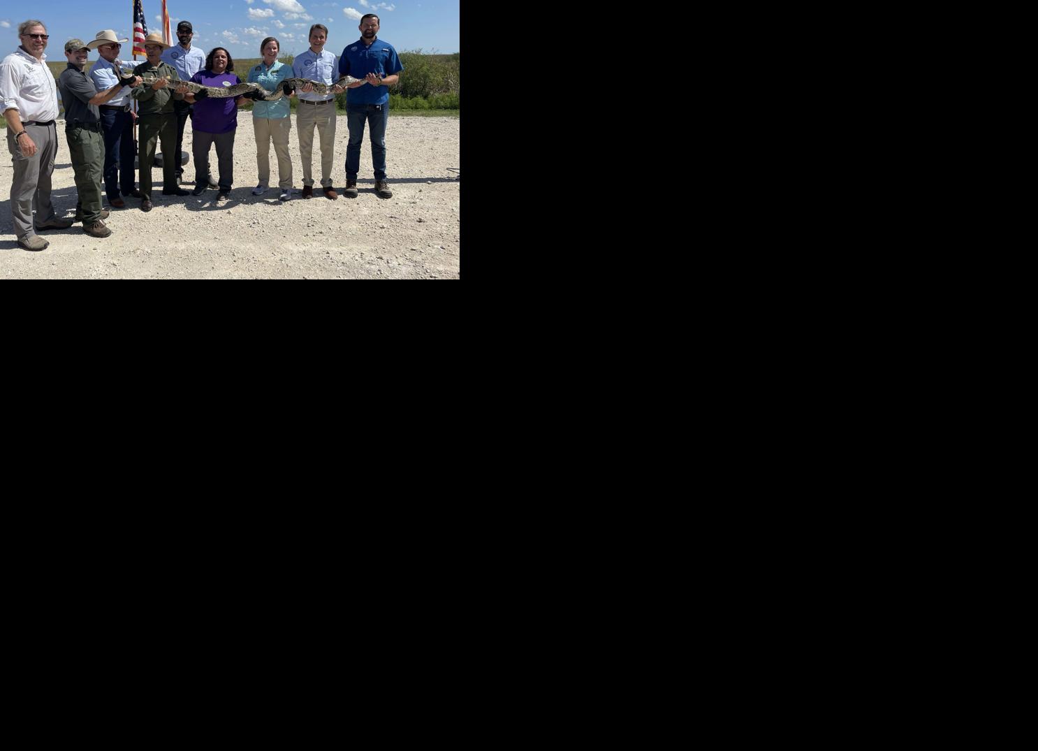 FWC Announces 2025 Florida Python Challenge™ | Mullet Rapper ...