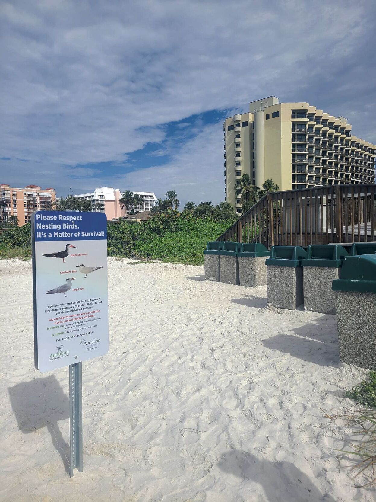 Marco Beaches More Bird-Friendly with New Signs | Community ...