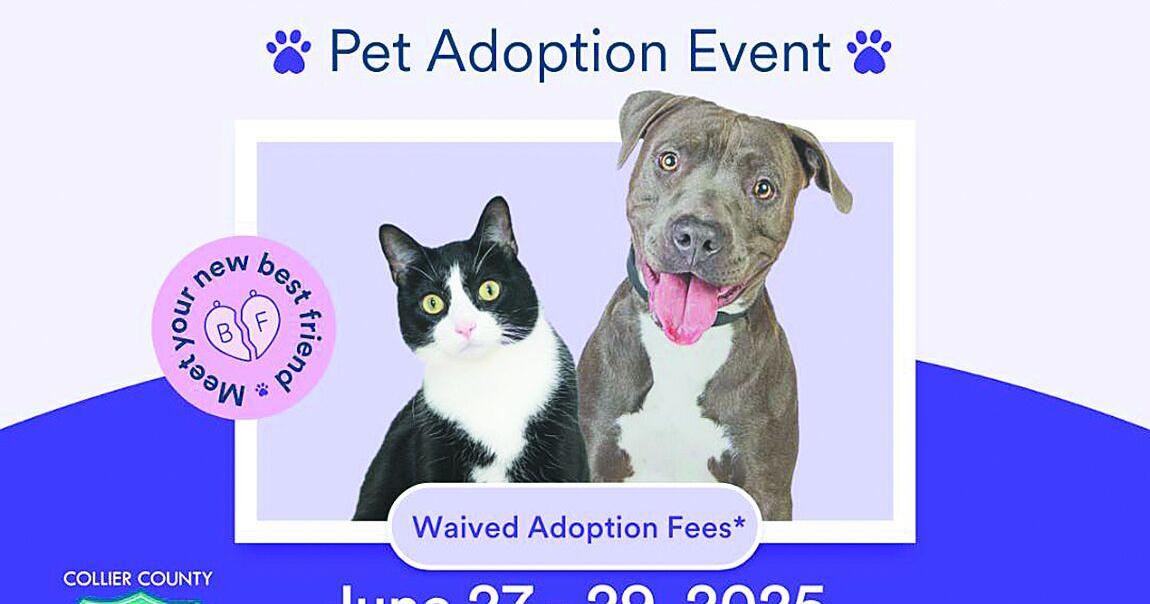 Petco Love Florida MEGA Pet Adoption Event Returns | Events ...