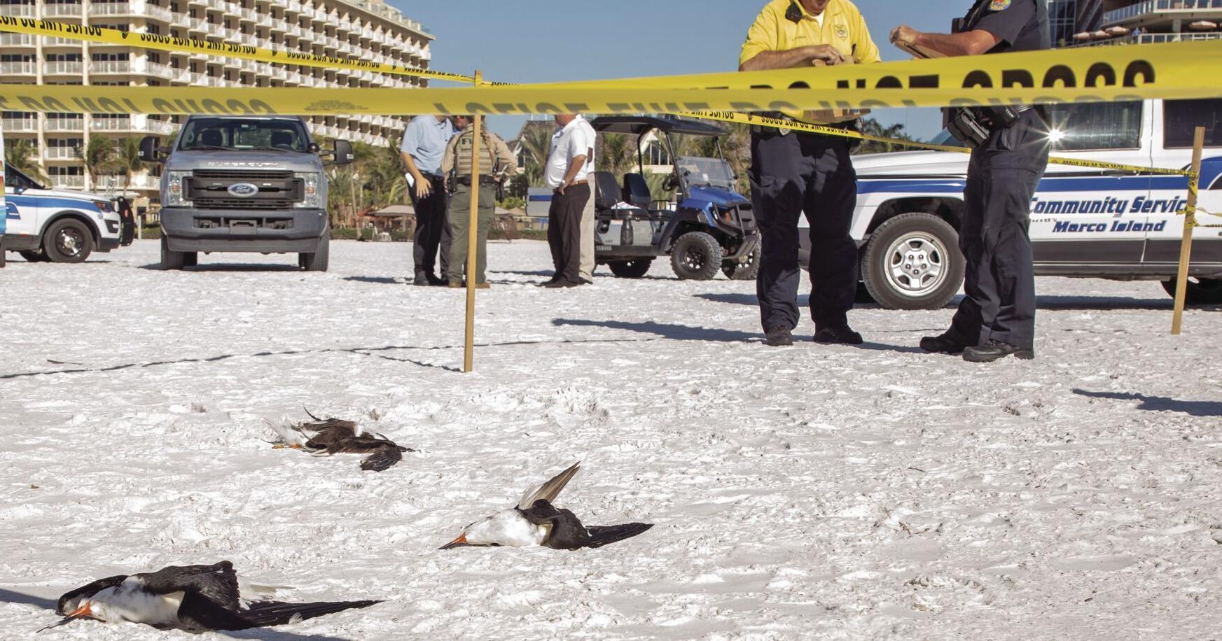 Man charged with killing endangered birds - Vimarsana News