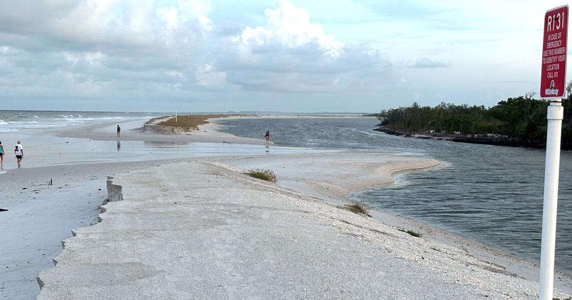Sea Turtles and Berm Update Post Hurricane Isaias