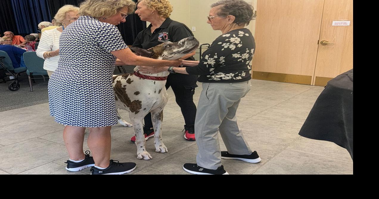 Seniors Meet Rodeo from Got Your Six Service Dogs