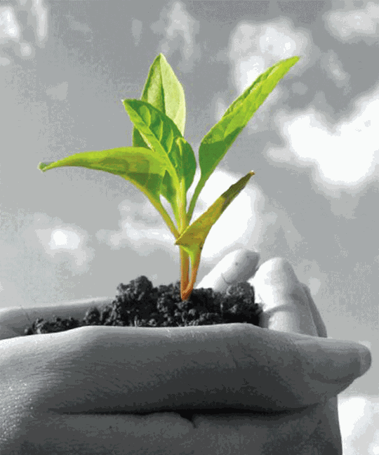 Environmental competitions for students image