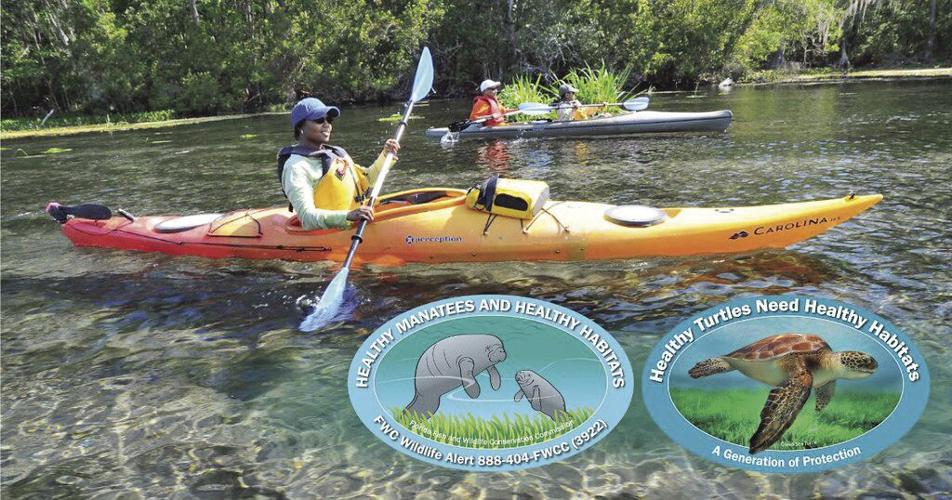 Help Florida Manatees and Sea Turtles | Environment | coastalbreezenews.com