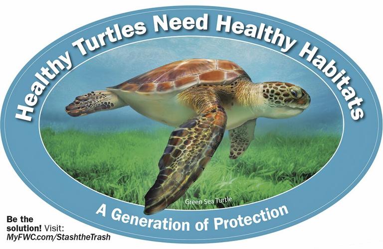 Help Florida Manatees and Sea Turtles | Environment | coastalbreezenews.com