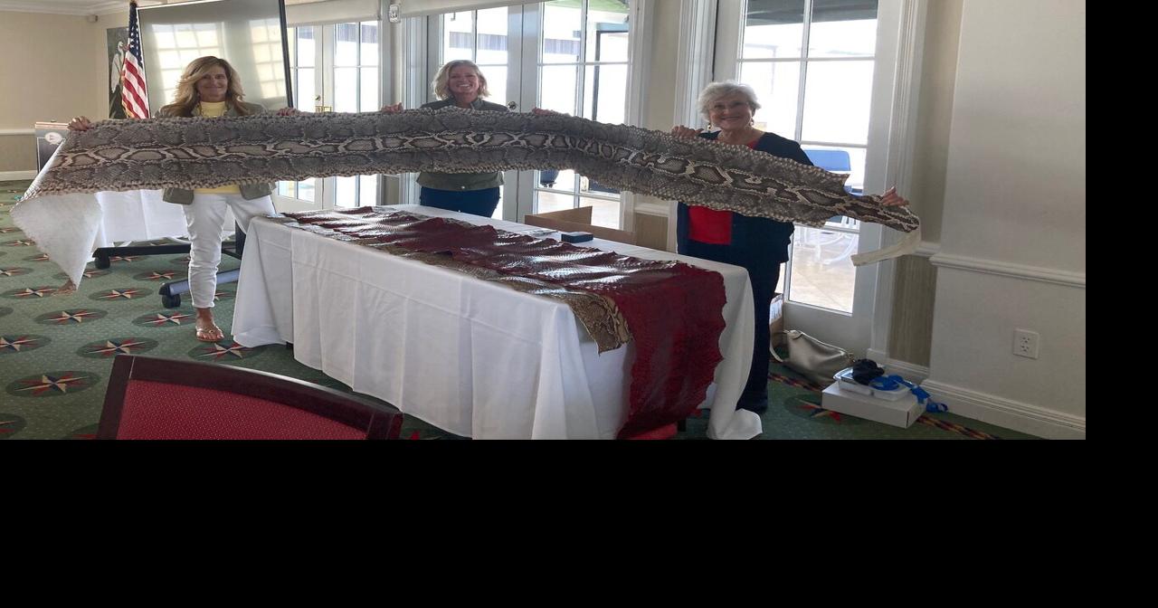 Python Huntress Delights Marco Island Woman’s Club | Clubs ...