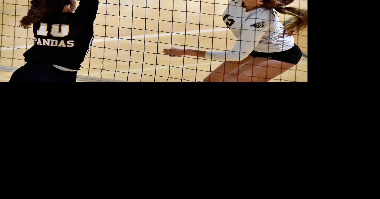 IRHS girls' volleyball returns to DIAA playoffs in 2022 Sports