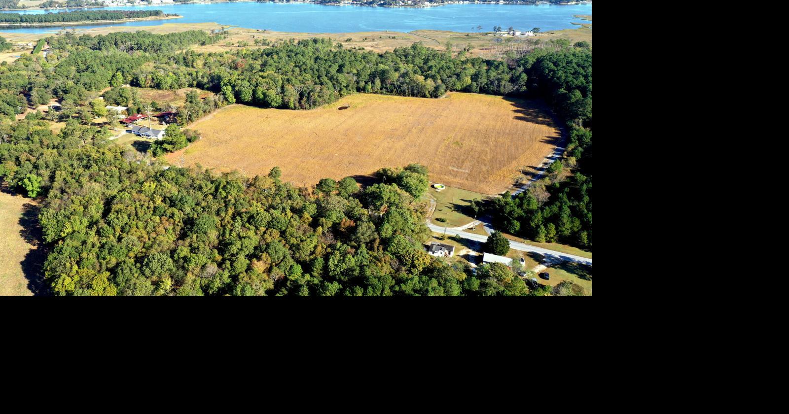 County council discusses forest preservation