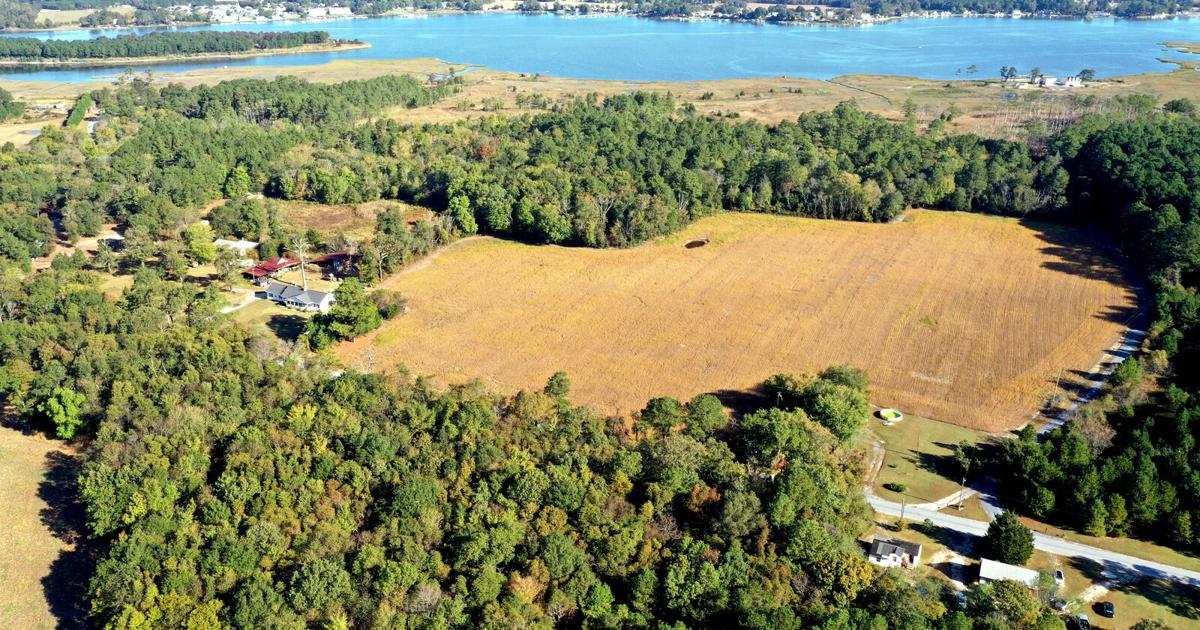County council discusses forest preservation