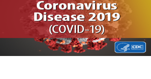 DPH shares monthly COVID-19 update - Vimarsana News