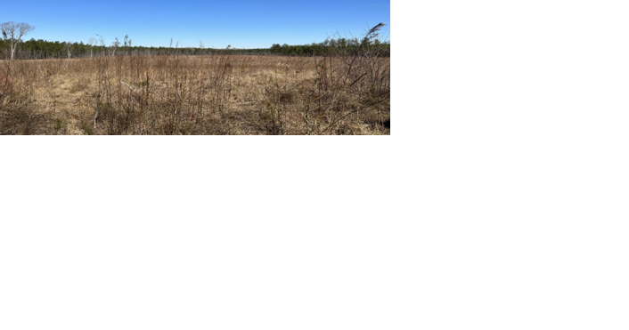 Sussex County protects more than 300 acres of additional open space - Vimarsana News