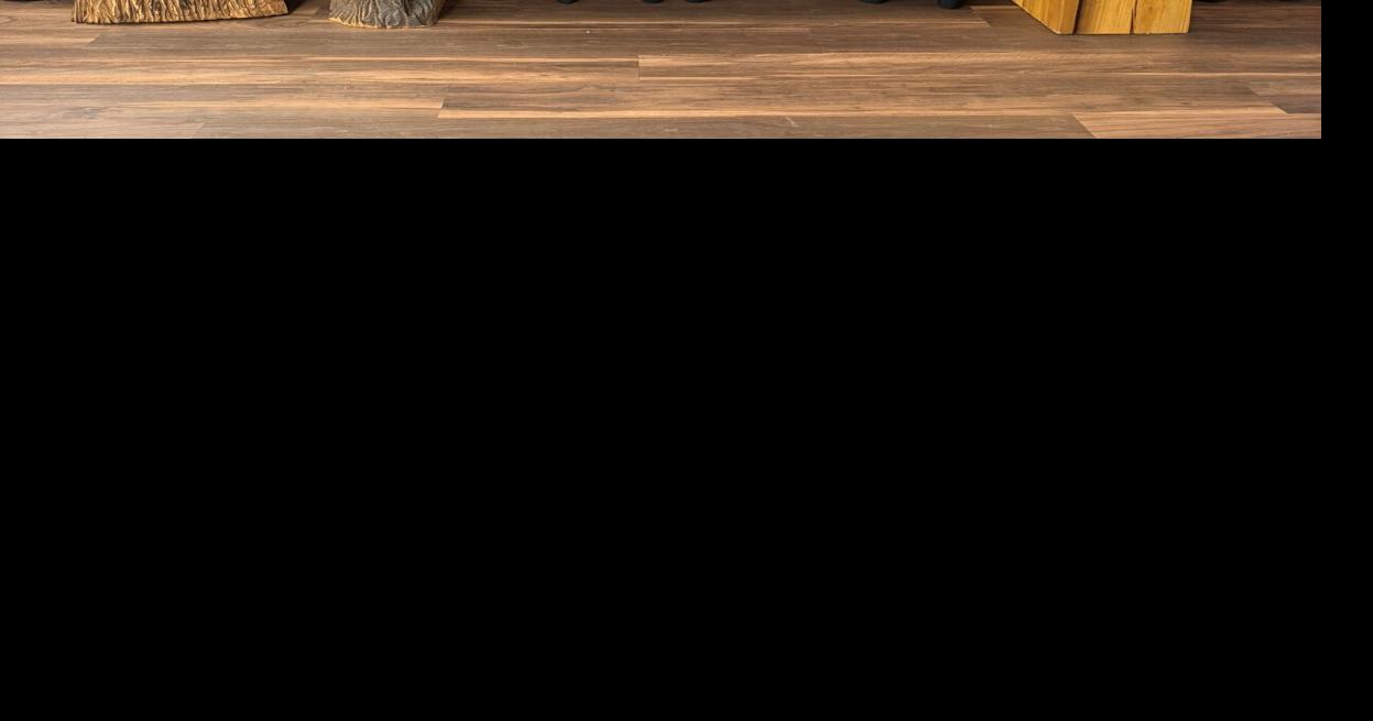 Artnsaw Chainsaw Carvings named Coolest Thing Made in Delaware