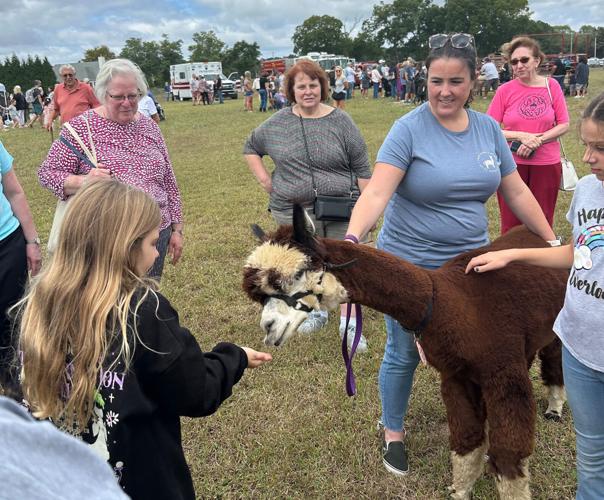 Alpaca Festival | Point Pics | coastalpoint.com