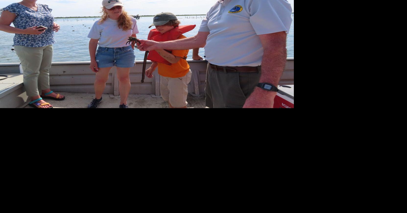 County council hears about positive impacts of oysters