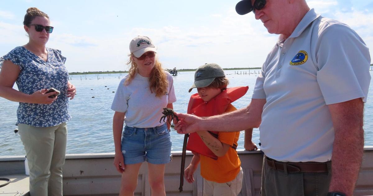 County council hears about positive impacts of oysters