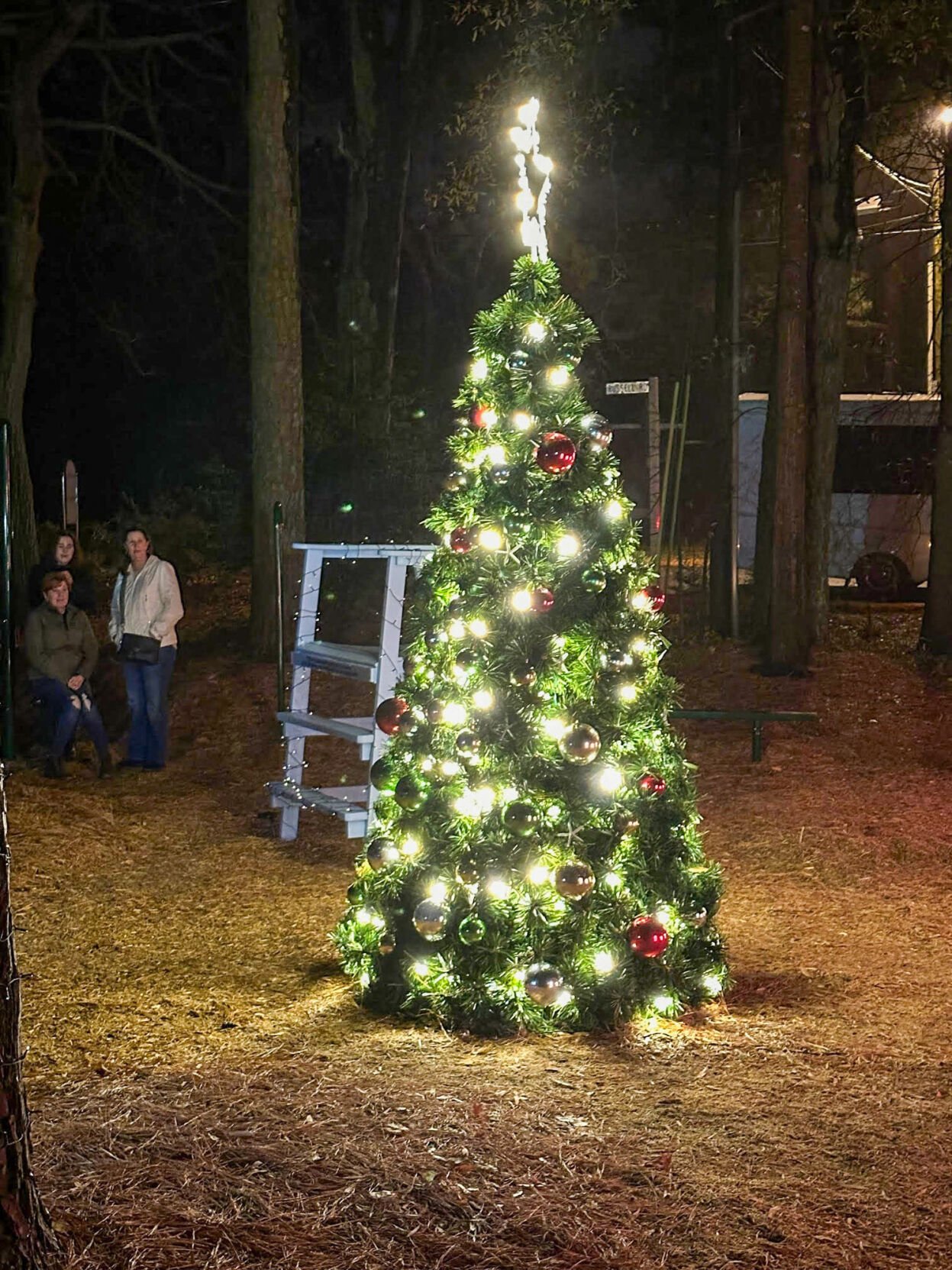 South Bethany treelighting brings families together Lifestyle