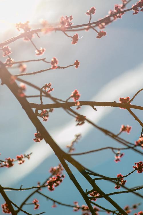 Spring has sprung