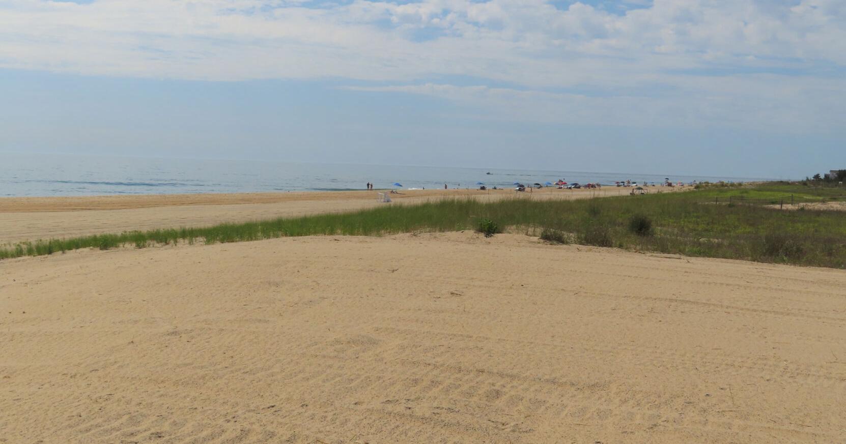 DNREC replacing dune line - Vimarsana News
