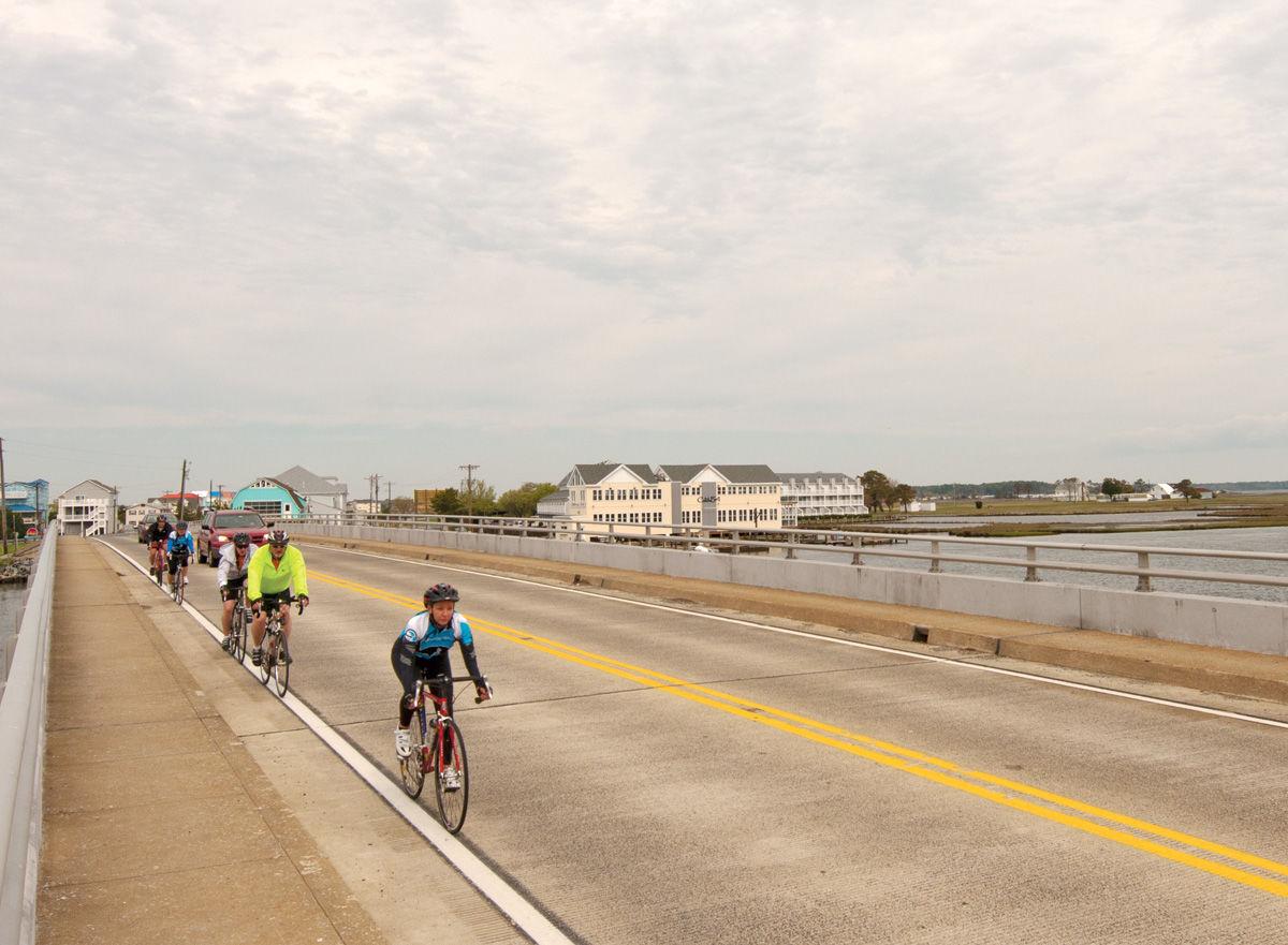 ocean to bay bike tour