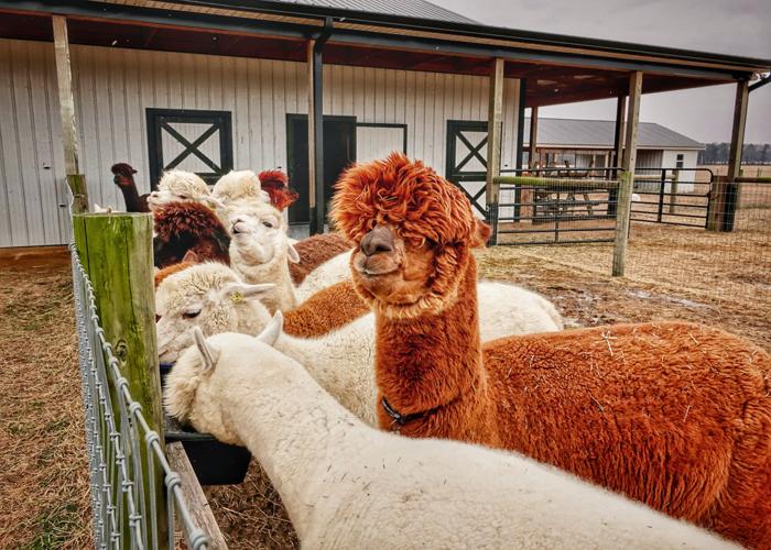 Time for a close-up!